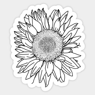 Sunflower Black Line Drawing Sticker